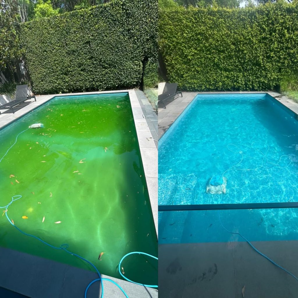 Pool cleaning service green water treatment on swimming pool in Fresnaye, Atlantic Seaboard, Cape Town.